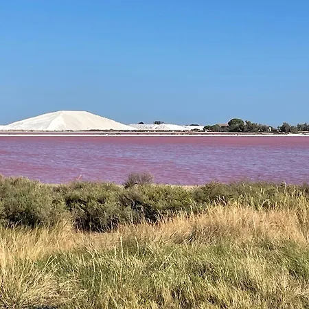 شقة En Rez-de-chaussee Avec Marche *