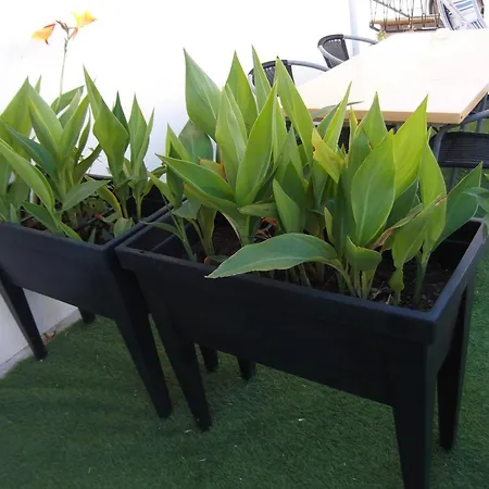 En Rez-de-chaussée Avec Marche Le Grau-du-Roi