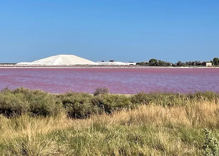 Apartamento En Rez-de-chaussee Avec Marche *