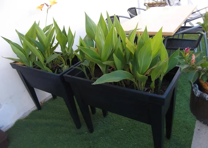 En Rez-de-chaussee Avec Marche Le Grau-du-Roi